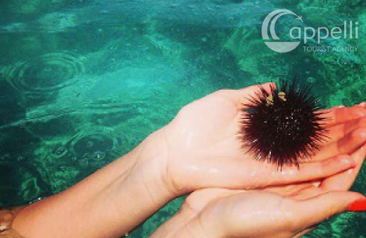 Spiagge E Grotte Di Mali Lošinj Cappelli Tourist Agency